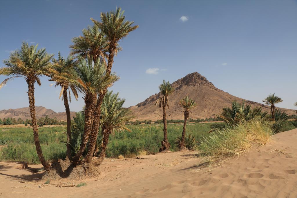 Dar Pienatcha Hotel Zagora Kültér fotó